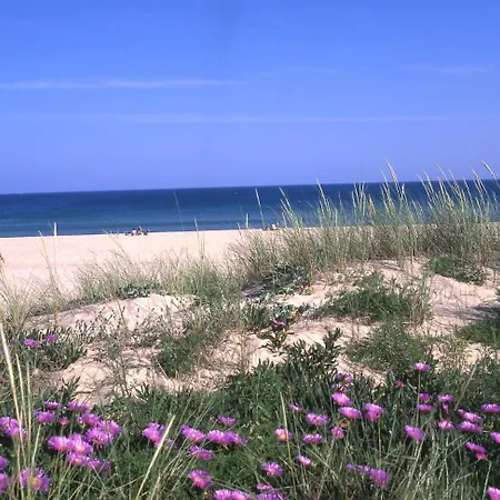 Summer Days *