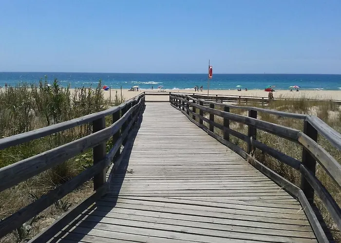 Summer Days * ラゴス