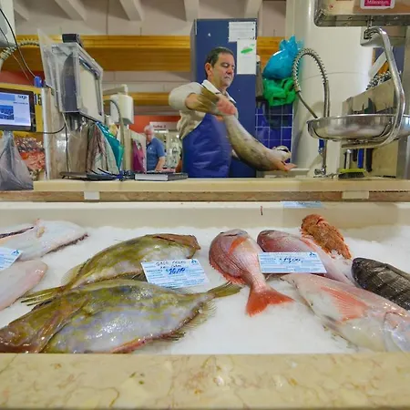 Summer Days Apartment