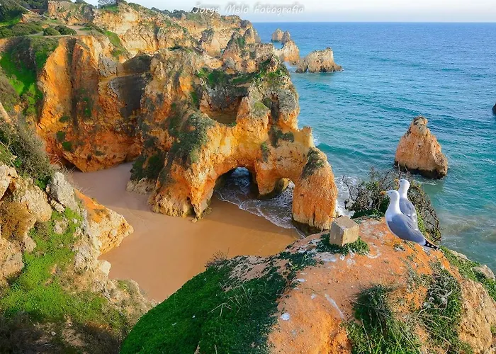 Summer Days * לאגוּ‏ש