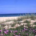Summer Days *